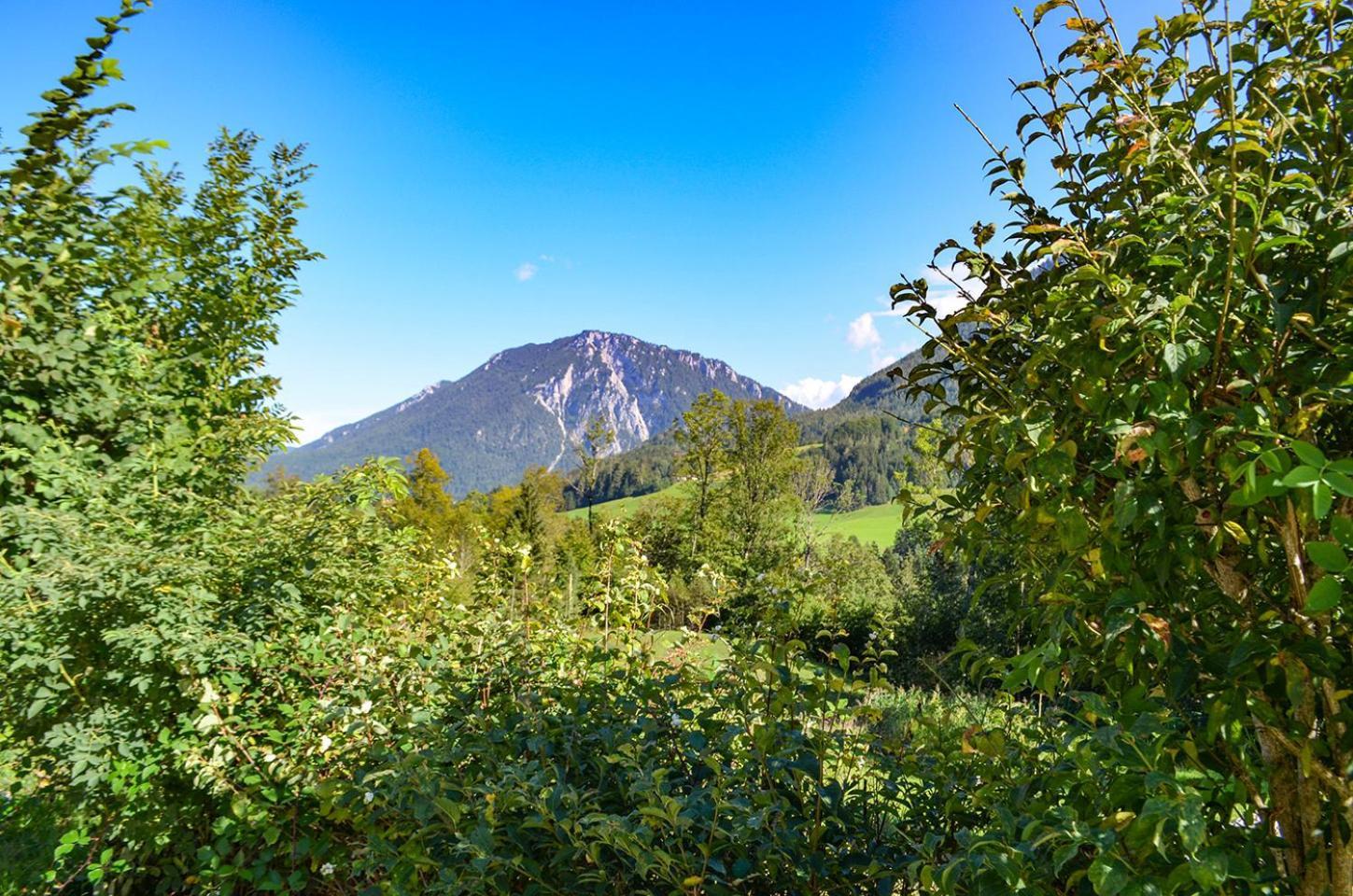 Almbauernhof Apartamento Ruhpolding Exterior foto