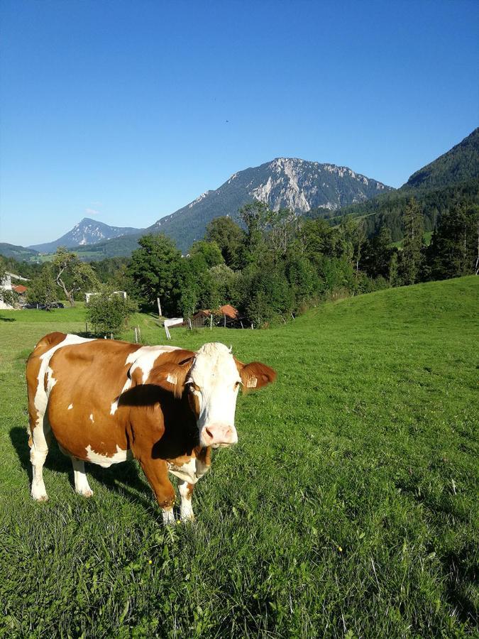 Almbauernhof Apartamento Ruhpolding Exterior foto